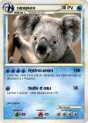 carapuce