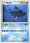 Hybodus