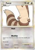 Furret