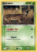 Buck (deer)