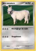 âne miniature