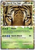 Eye Of The Tige