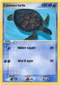 Common turtle