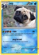 pug