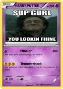 HARRY PUTTER