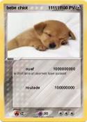 bebe chiot