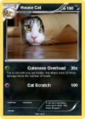 House Cat