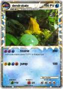 dendrobate