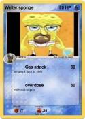 Walter sponge