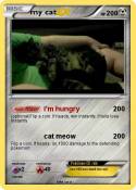 my cat