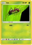 Ant