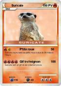 Suricate