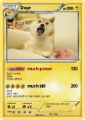 Doge