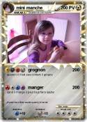 mini manche