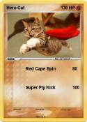 Hero Cat