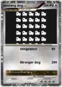 anoning dog