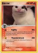 Rare kat