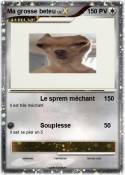 Ma grosse beteu
