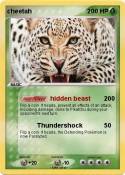 cheetah