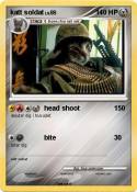katt soldat