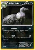 Griffon Vulture