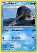 Narwhal