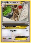 Chihuahua 3