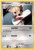 Chihuahua 3
