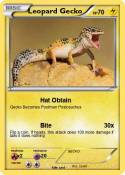 Leopard Gecko