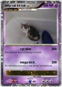 kitty cat kit