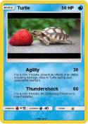 Turtle