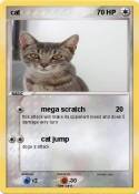 cat