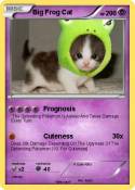 Big Frog Cat