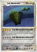 Cell Membrane