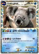 Koala géant