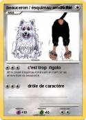 beauceron / ésq