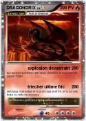 DRAGONDRIX