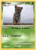 bébé tigre