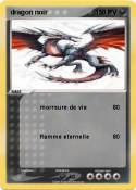 dragon noir