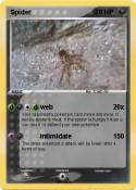 Spider