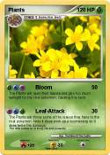 Plants