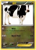 Cow