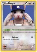 Bingus