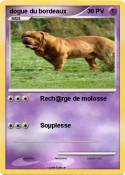 dogue du bordea