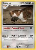 Terror
