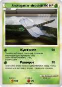 Anotogaster
