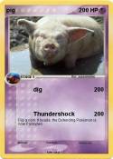 pig