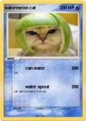 watermelon cat
