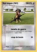 Red doguio (TNT