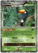 TOUCAN